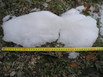 40 cm snhu