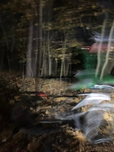 Umní 1