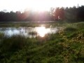 wich 18.5.11