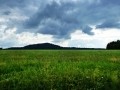 vlet 25.6.11