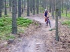 šwich 12.6.13