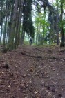 šwich 12.6.13