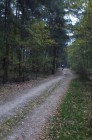 šwich 12.6.13