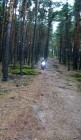 šwich 12.6.13