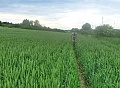 e šwihu 25.5.2016