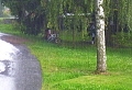 e šwihu 25.5.2016