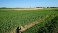 e šwihu 30.09.2015