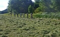 e šwihu 25.5.2016