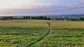 e šwihu 29.3.2017