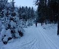 ze šwihu 6.2.2019