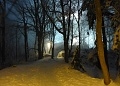 ze šwihu 6.2.2019
