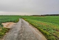 ze šwihu 6.3.2019