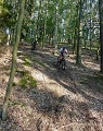 ze šwihu 6.3.2019