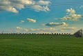 ze šwihu 6.3.2019