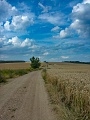 ze šwihu 6.3.2019