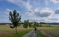 ze šwihu 6.3.2019