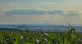 ze šwihu 6.3.2019