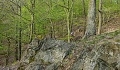 ze šwihu 6.3.2019