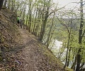 ze šwihu 6.3.2019