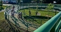 ze šwihu 6.3.2019