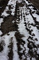 ze šwihu 6.3.2019
