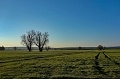 ze šwihu 6.3.2019