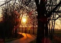 ze šwihu 6.3.2019