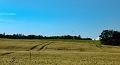 ze šwihu 6.3.2019