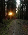 ze šwihu 6.3.2019