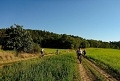 ze šwihu 6.3.2019