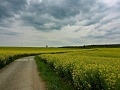 ze šwihu 6.3.2019