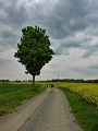 ze šwihu 6.3.2019