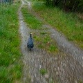 ze šwihu 6.3.2019
