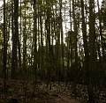 ze šwihu 6.3.2019
