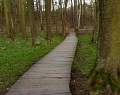ze šwihu 6.3.2019
