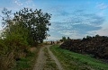 ze šwihu 6.3.2019