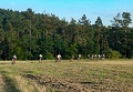ze šwihu 6.3.2019