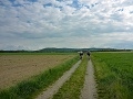 ze šwihu 6.3.2019