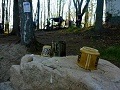ze šwihu 6.3.2019