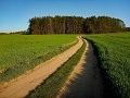 ze šwihu 6.3.2019