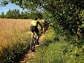 ze šwihu 6.3.2019