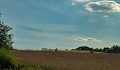ze šwihu 6.3.2019