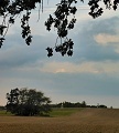 ze šwihu 6.3.2019
