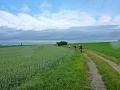 ze šwihu 6.3.2019