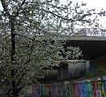 ze šwihu 6.3.2019