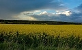 ze šwihu 6.3.2019