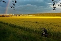 ze šwihu 6.3.2019