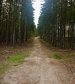 ze šwihu 6.3.2019