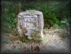 tt c061022