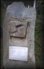 tt c061022